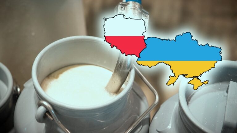 Молоко