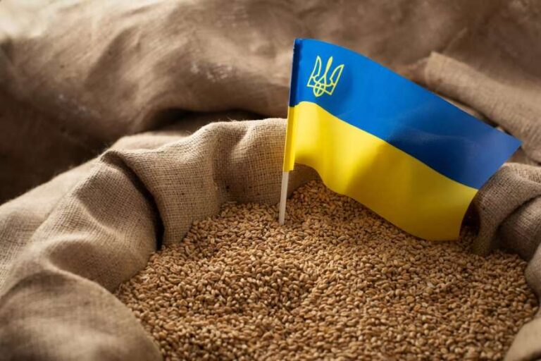 Україна 2024 року досягла довоєнного рівня агроекспорту